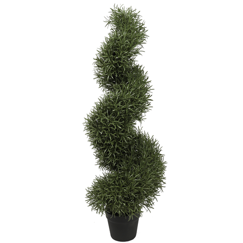rosemary category