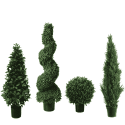 Topiary Trees - DYArtificial