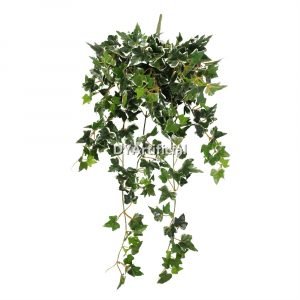 dylvs 207 60cm hanging ivy green indoor