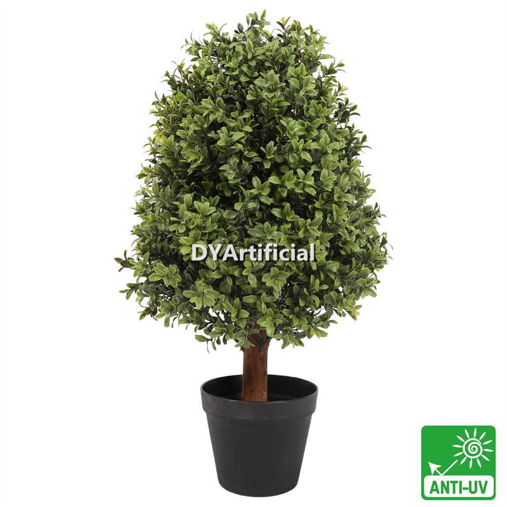 tkcz 08 1 60cm height buxus oval tree outdoor uv protected