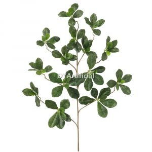 dyti 37 phlox leaf green 68cm