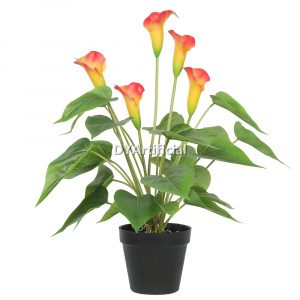 tcc 120 artificial flowering white & orange calla lily plant 50cm indoor