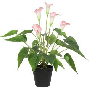 tcc 121 artificial flowering white & pink calla lily plant 50cm indoor