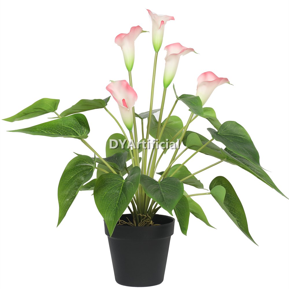 tcc 121 artificial flowering white & pink calla lily plant 50cm indoor details 1