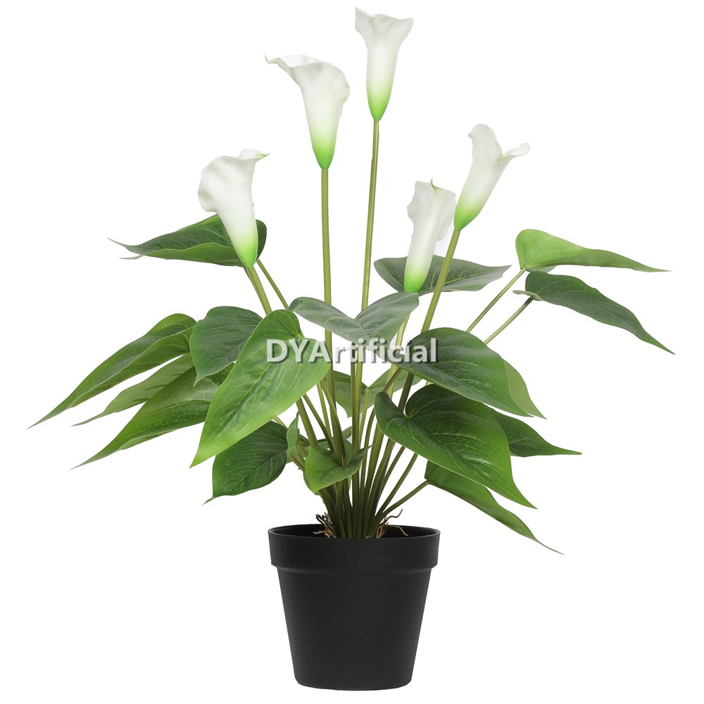 tcc 122 artificial flowering white calla lily plant 50cm indoor