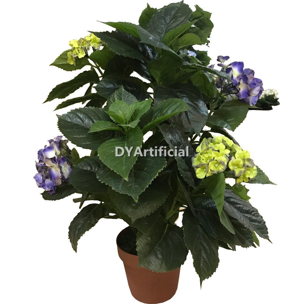 tcc 60 74cm height hydrangea plant purple and cyan blue