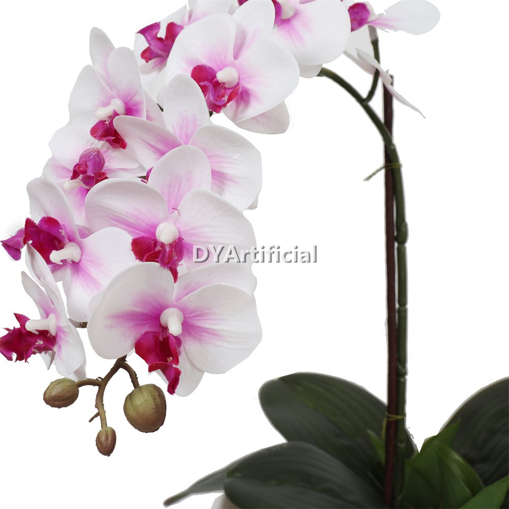 tcm 01 potted butterfly orchid 43cm height 6# color 2