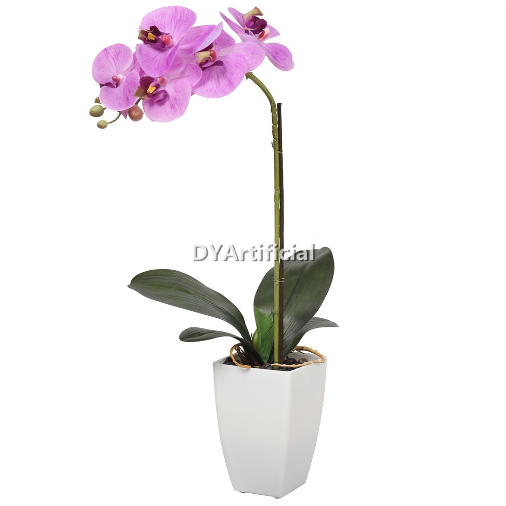tcm 02 potted butterfly orchid 52cm height 7# color 1