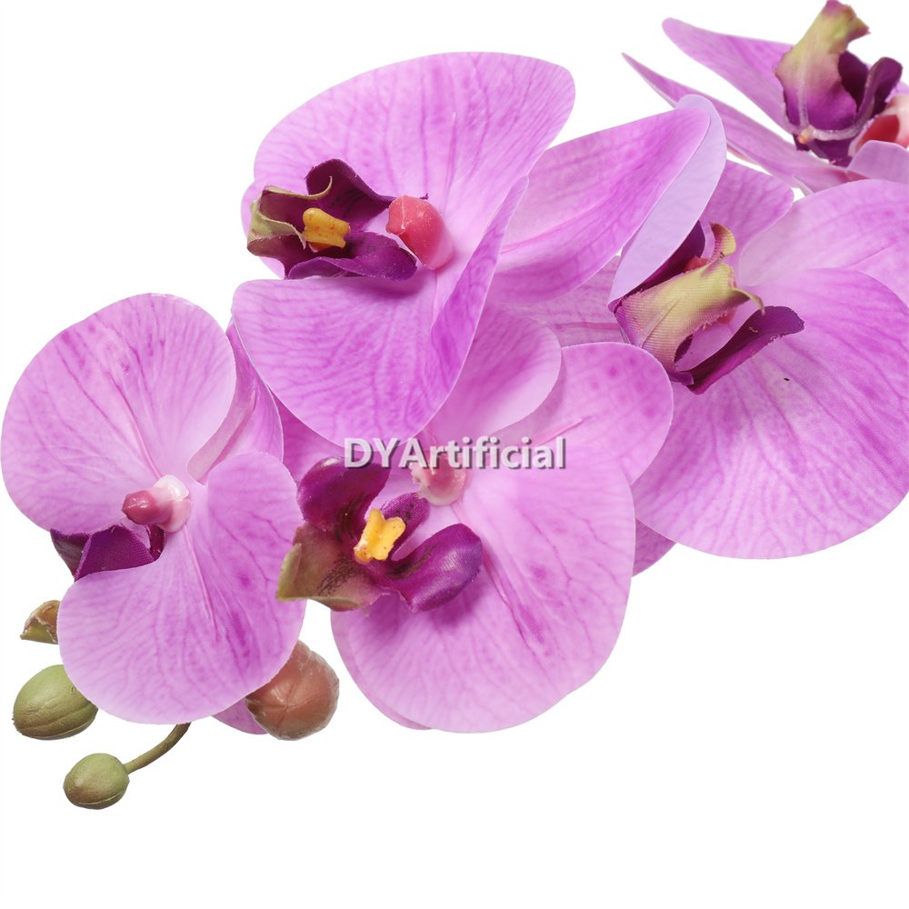 tcm 02 potted butterfly orchid 52cm height 7# color 2