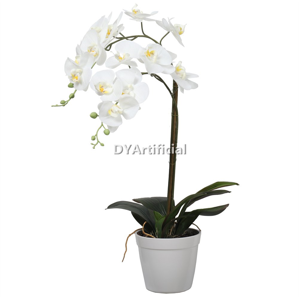 tcm 03 potted butterfly orchid 65cm height 1# color 1