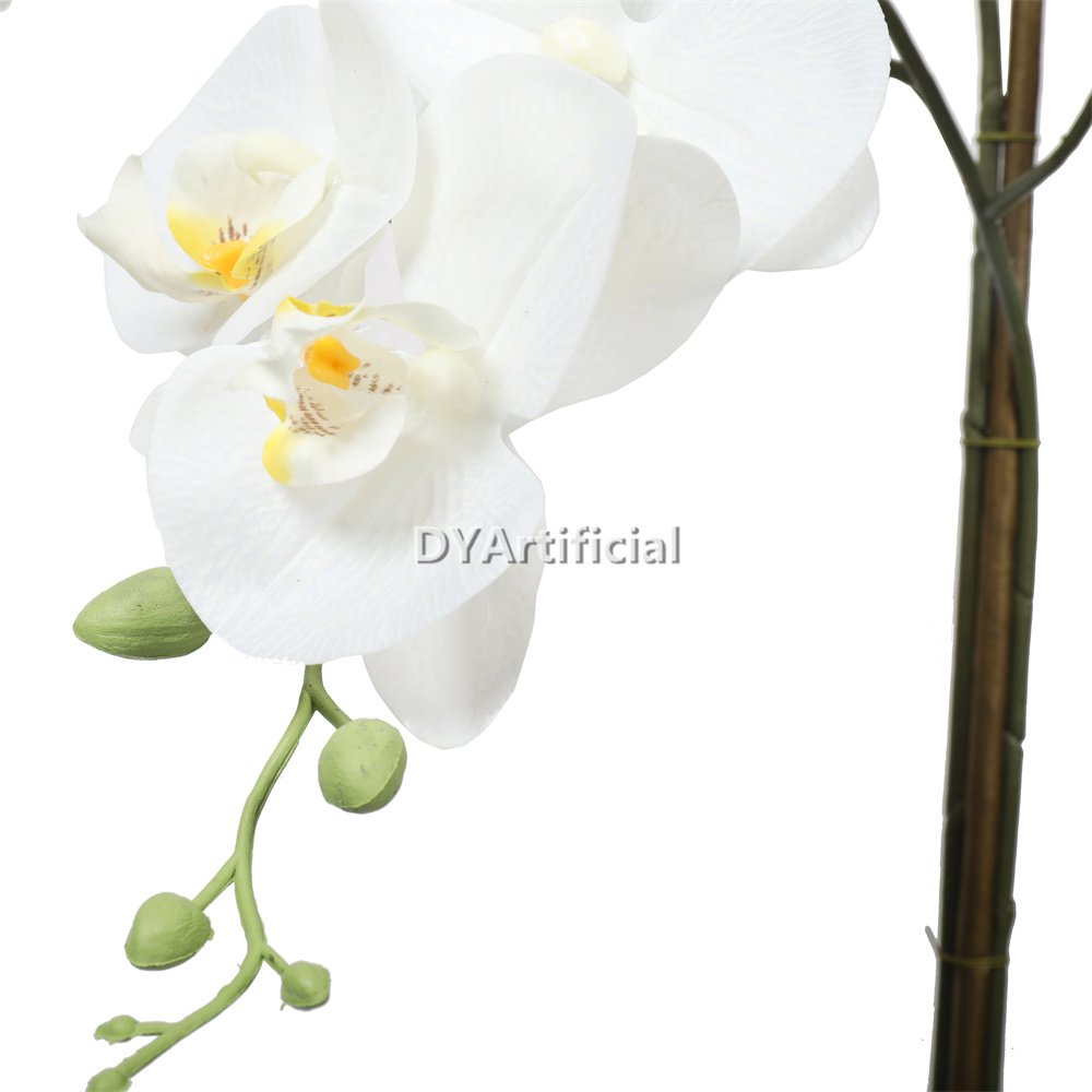 tcm 03 potted butterfly orchid 65cm height 1# color 2