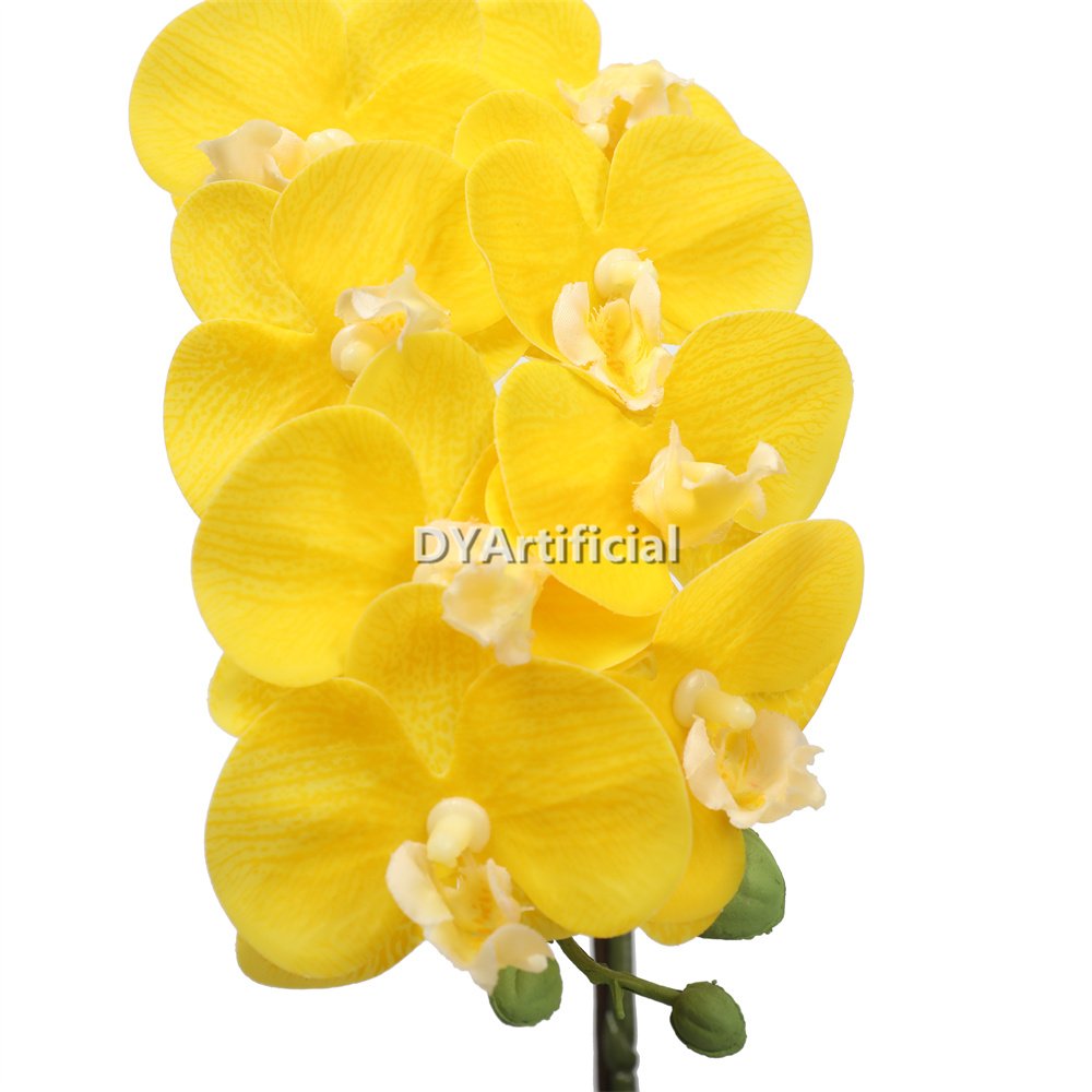tcm 10 potted butterfly orchid 46cm height 3# color 2