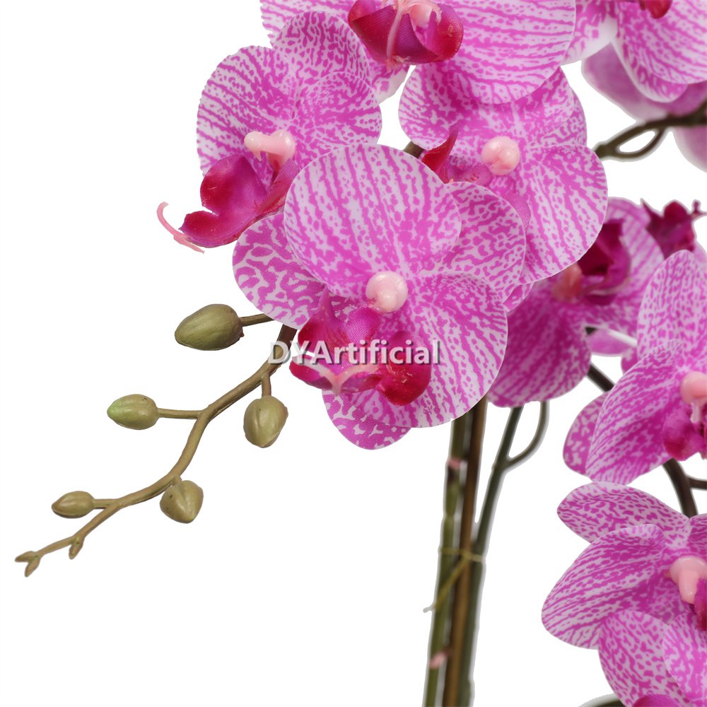 tcm 12 8# potted butterfly orchid 60cm height 8# color 3
