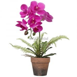 tcm 49 artificial potted orchids 38cm indoor red