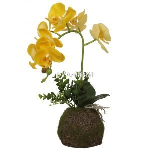 tcm 76 artificial potted orchids 35cm indoor yellow with moass base