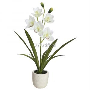 tcm 86 56cm nice potted phalaenopsis in white color