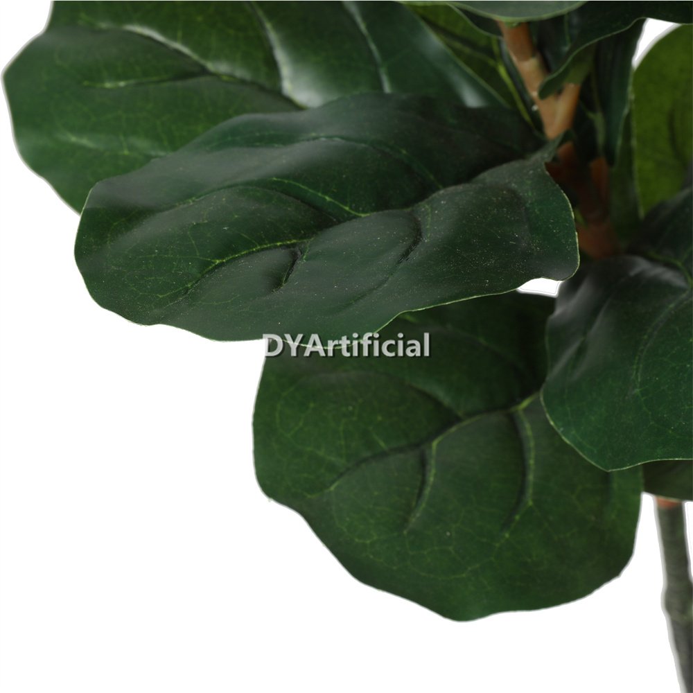 dyl 204 180cm height fiddle leaf figs tree indoor 4