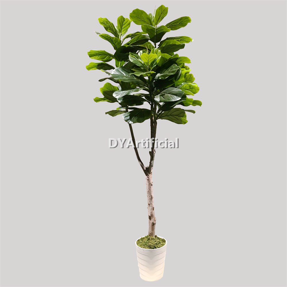 dyl 207 1 170cm height fiddle leaf figs tree(wooden trunk, 126 lvs, 7 branches) indoor