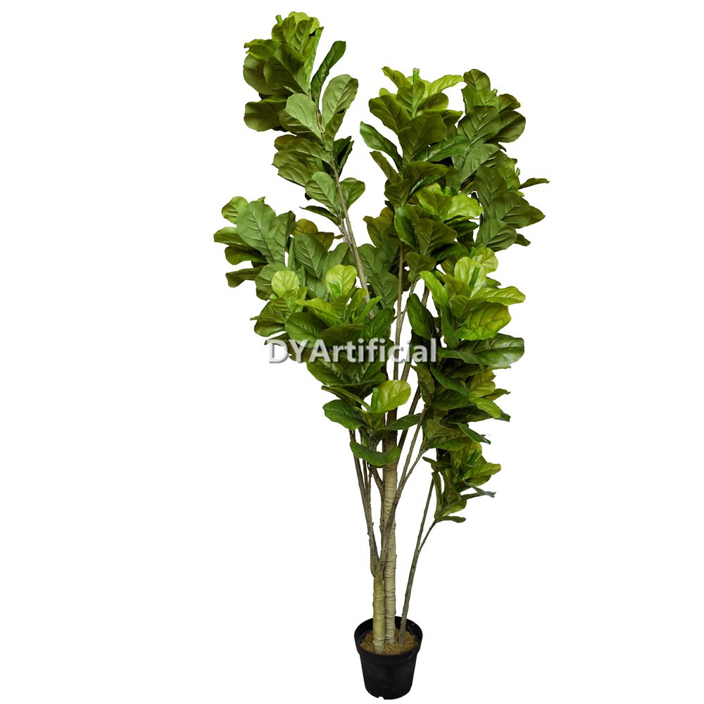 dyl 307 230cm height gourd tree 4 trunks (fiddle leaf figs tree) indoor