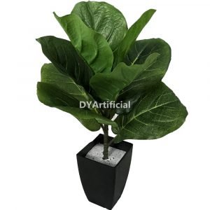 dyl 308 6 40cm height fiddle leaf figs tree indoor 1