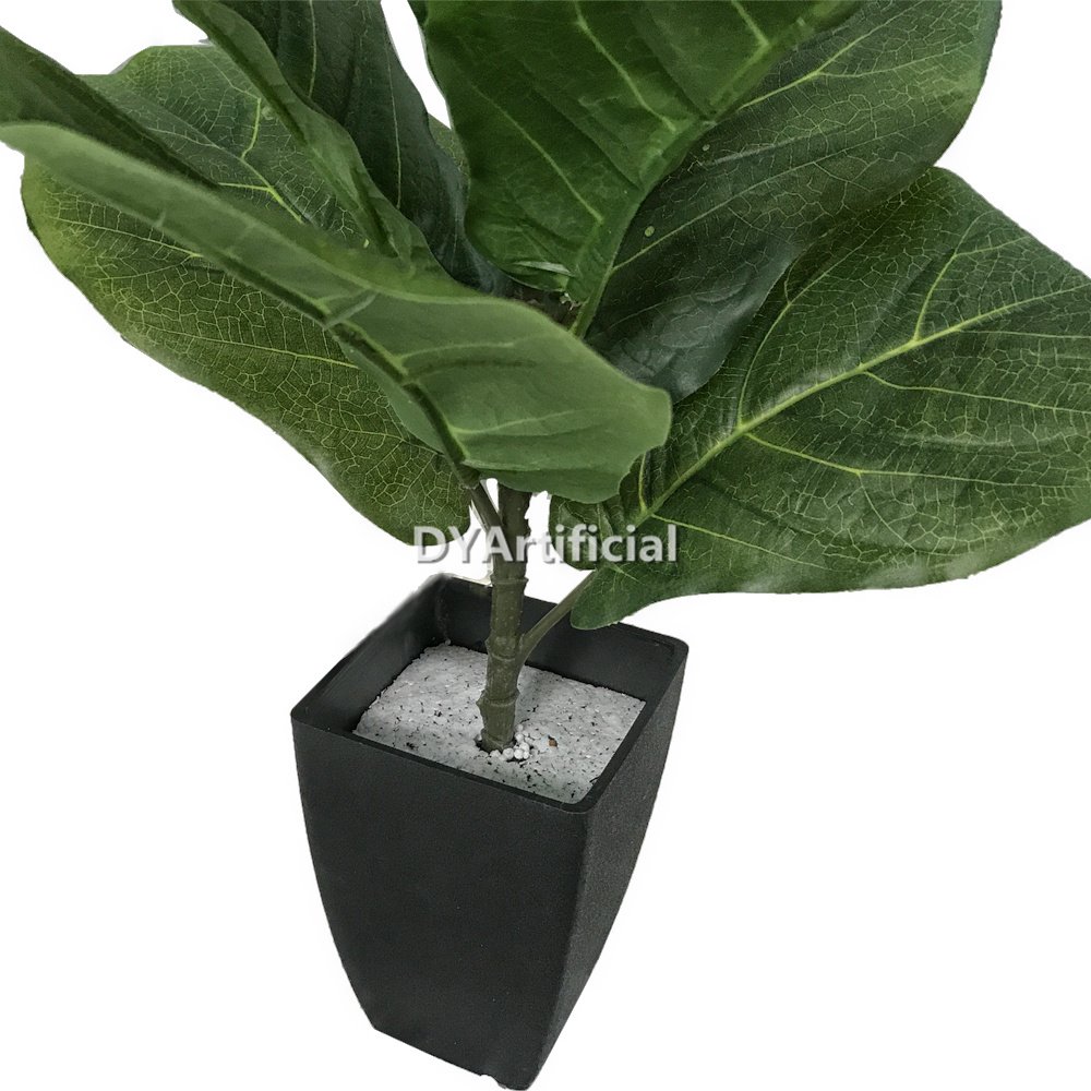 dyl 308 6 40cm height fiddle leaf figs tree indoor 3