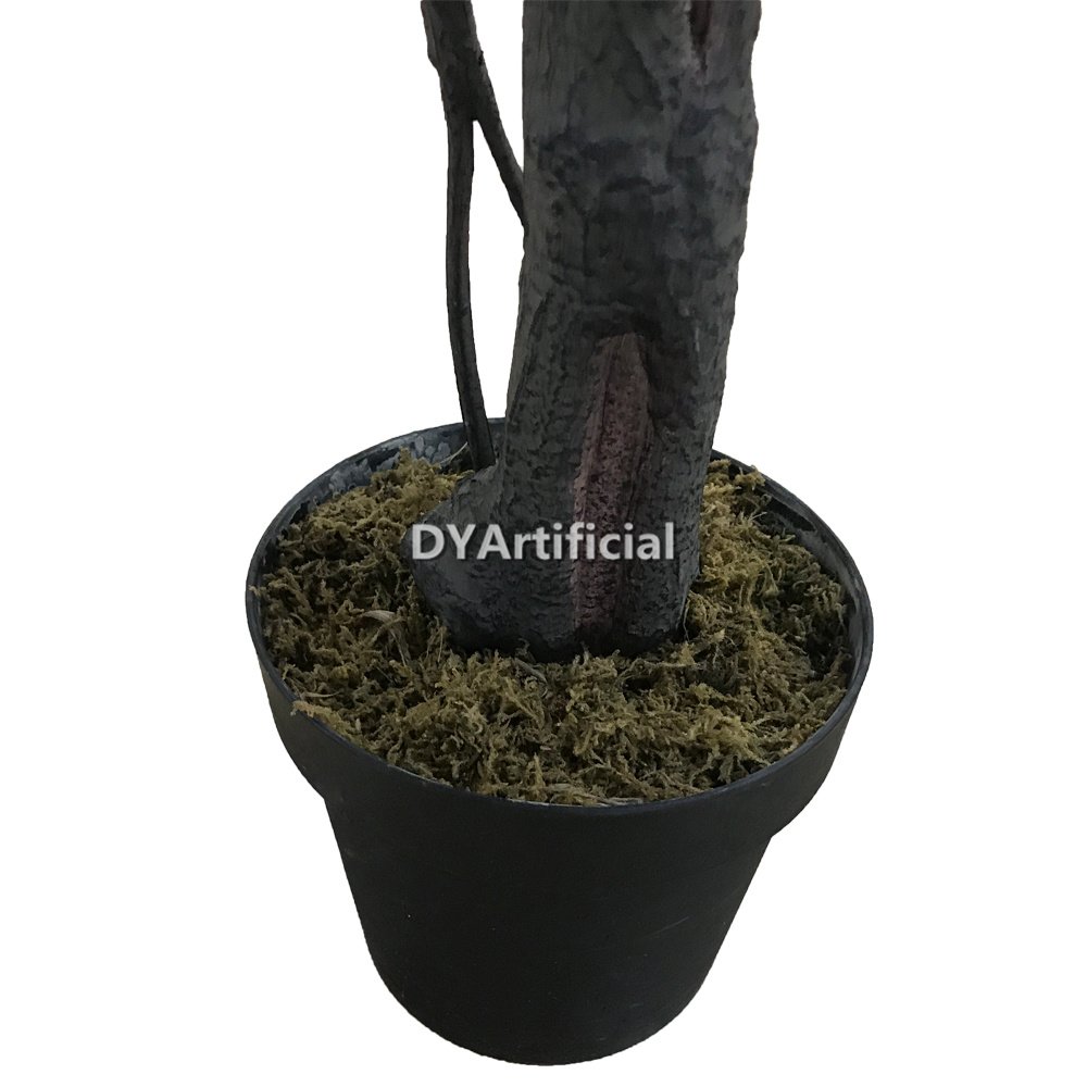 dyl 308 9 160cm height fiddle leaf figs tree indoor 2