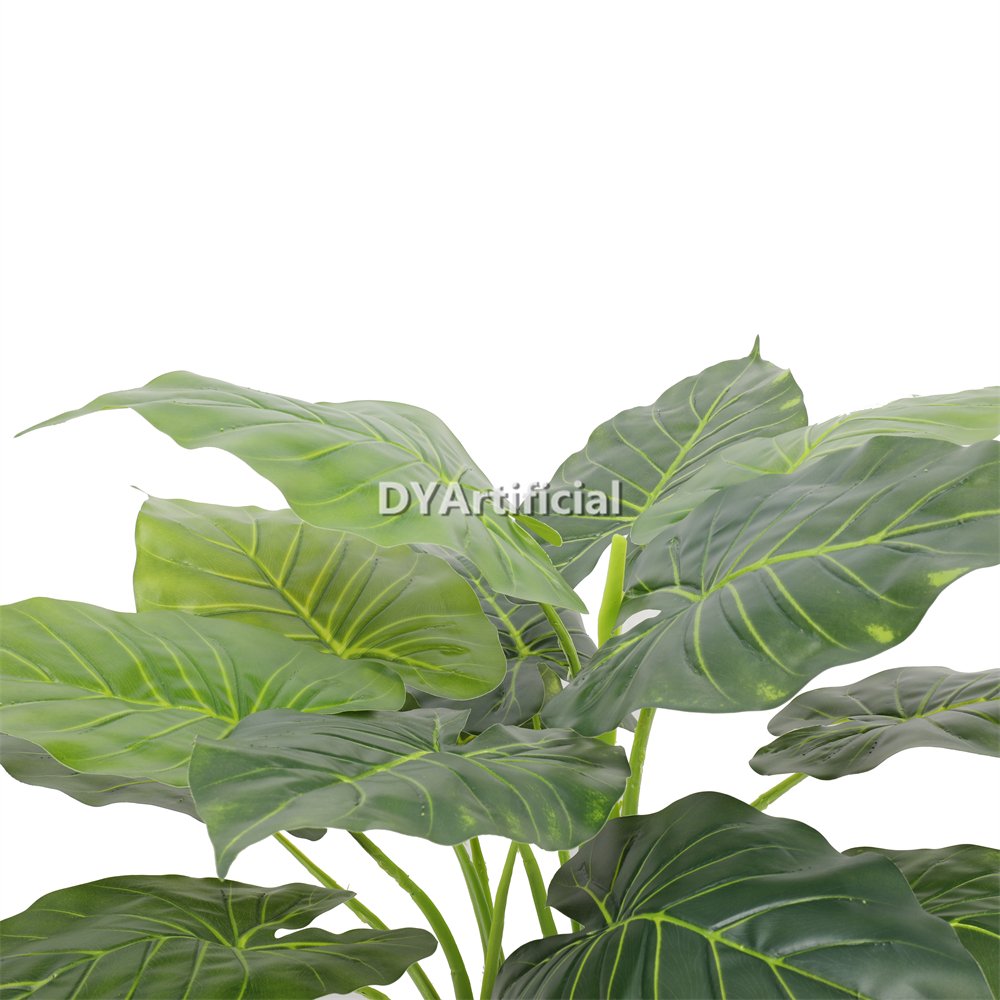 dyl 70 1 potted taro tree 70cm height details 1