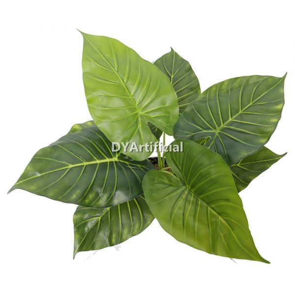 dyl 70 14 potted taro tree 55cm height details 1
