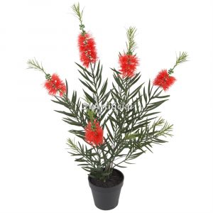 tcc 169 artificial callistemon viminalis 70cm