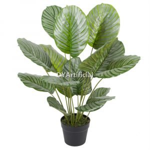tce 114 artificial calathea green plant 75cm indoor