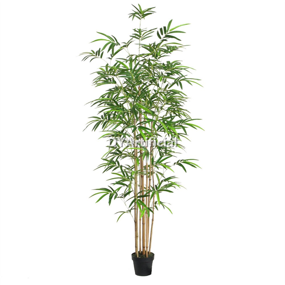 tcf 45 premium 200cm bamboo real bamboo stems with pot indoor