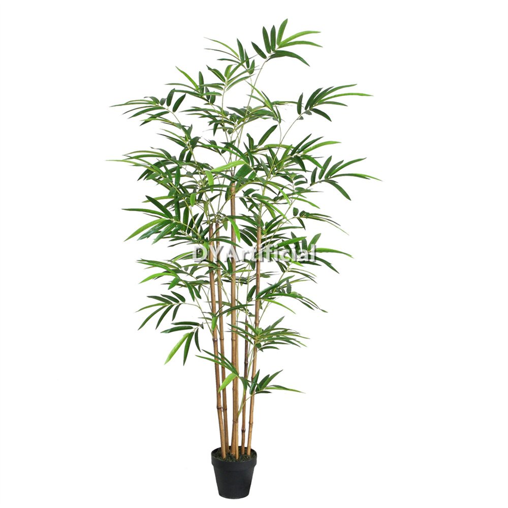 tcf 46 premium 150cm bamboo real bamboo with pot indoor
