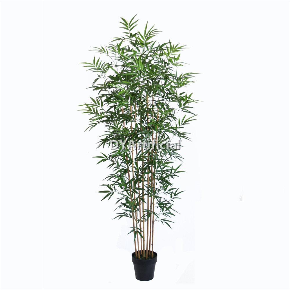 tcf 48 premium 185cm bamboo real bamboo stems with pot indoor