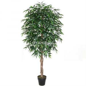 tcf 53 premium 180cm wood trunk jatropha padagrica with pot indoor