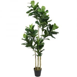 tcl 04 180cm height fiddle leaf fig tree 4t 131lvs indoor