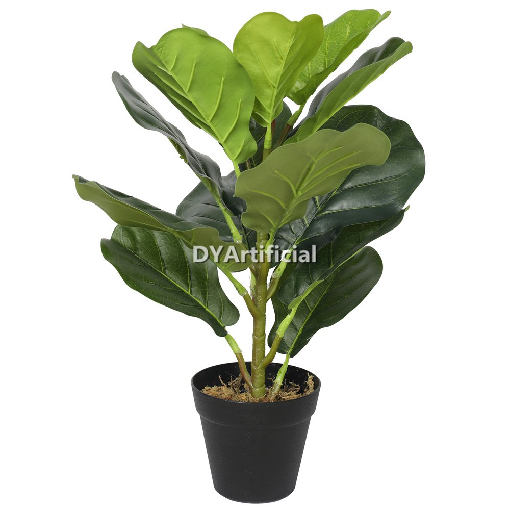 tcl 12 50cm height artificial fiddle leaf fig tree 1t 14lvs indoor 1