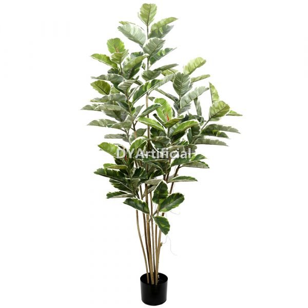 tcl 20 2 150cm height white green oak tree indoor