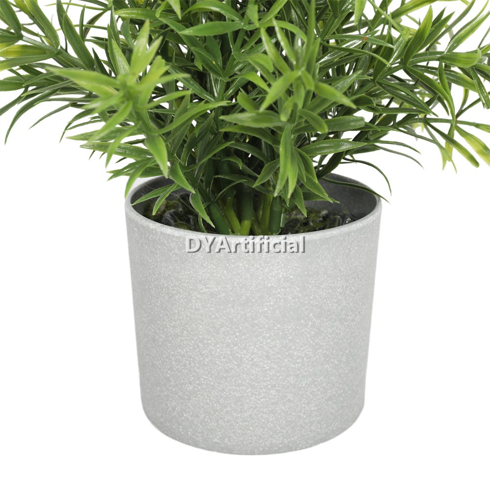 dypa 114 potted rosemary bushy plants 20cm with white flowers 1