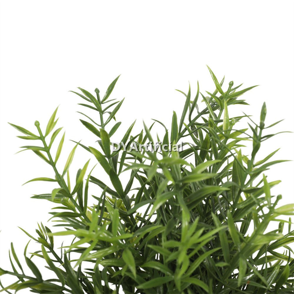 dypa 114 potted rosemary bushy plants 20cm with white flowers 2