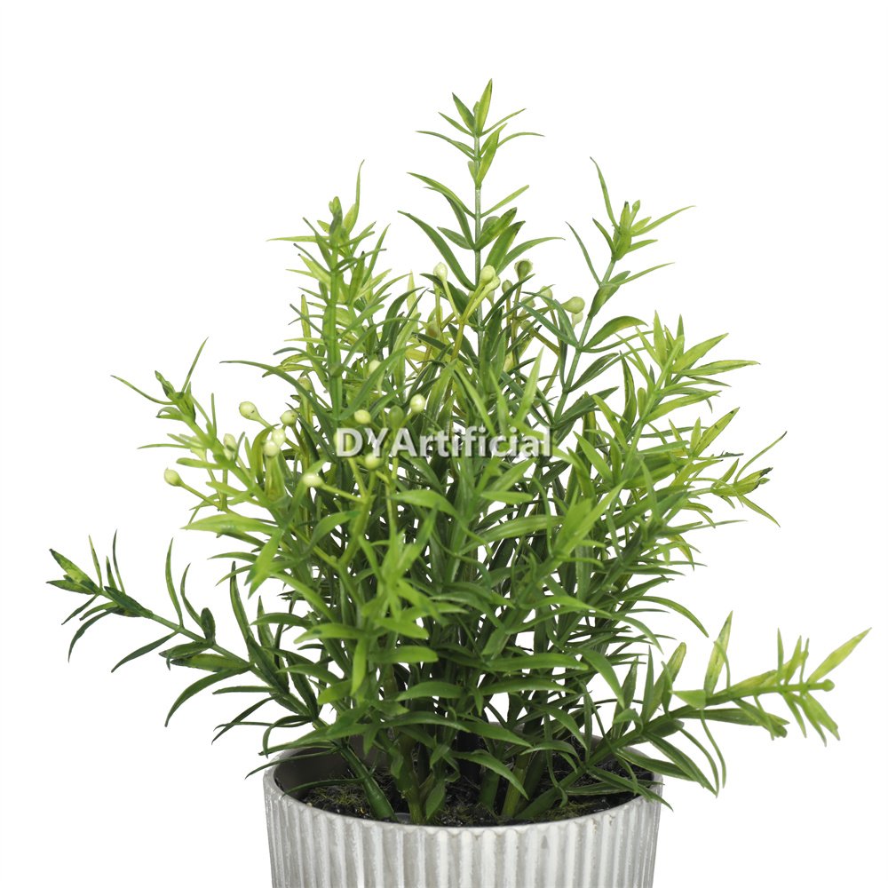 dypa 116 potted bushy plants 21cm with white flowers 2