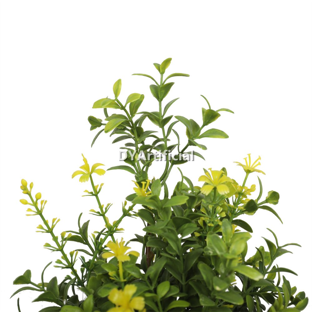 dypa 124 potted boxwood with white flowers 25cm 2