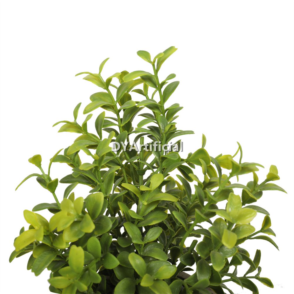 dypa 125 potted boxwood 21cm with square planter 2