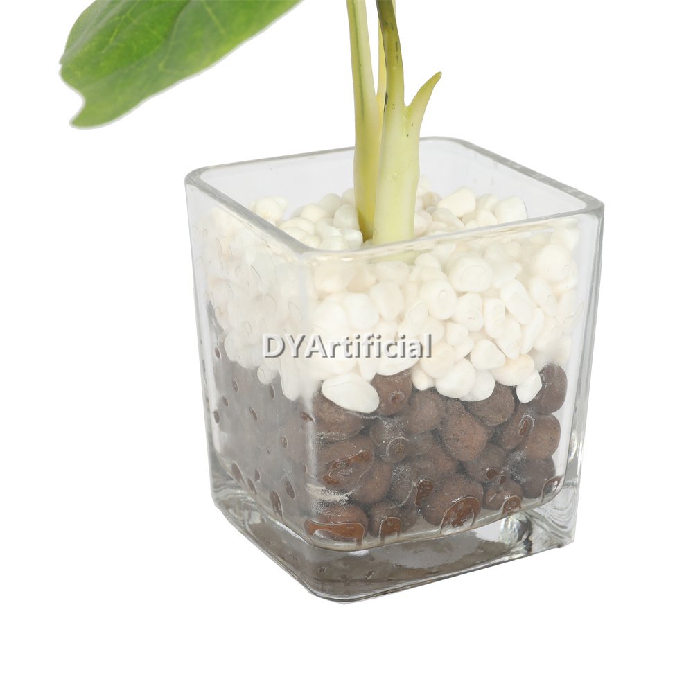 dypa 134 artificial mini taro 23cm with glass planter 3