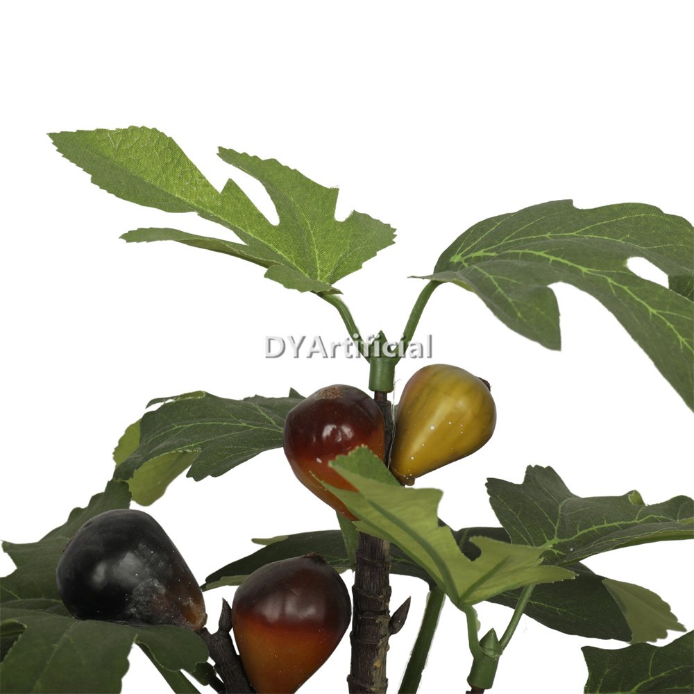 dypa 139 potted mini fig plants 39cm indoor 2
