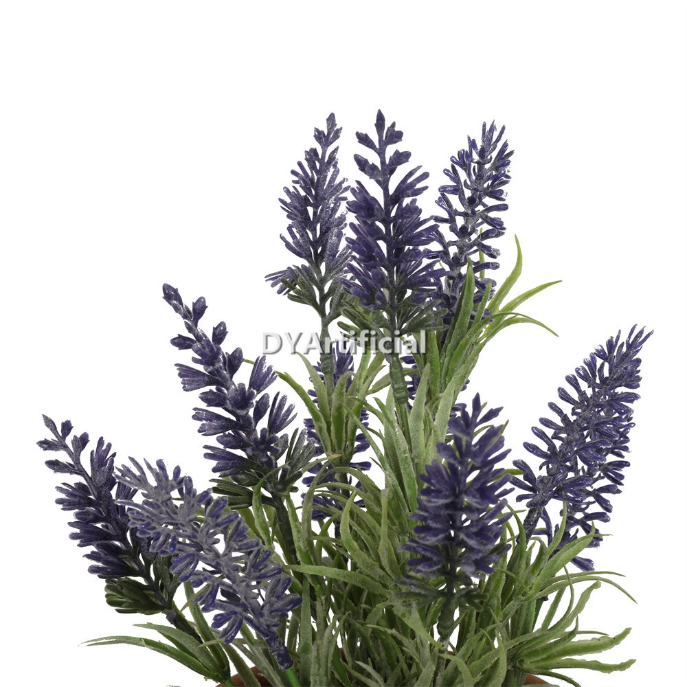 dypa 145 potted mini lavender plants 29cm 2