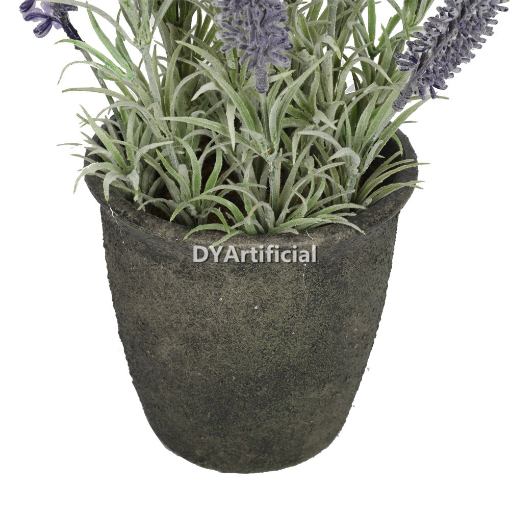 dypa 146 potted mini lavender plants 31cm 1