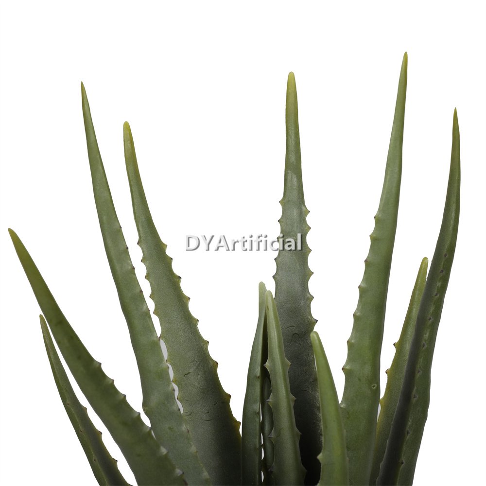 dypa 149 aloe middle 47cm indoor 1