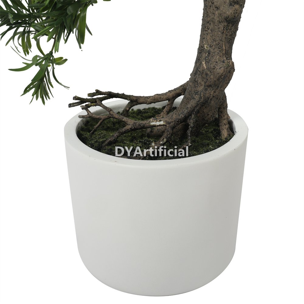 70cm height silk podocarpus macrophyllus pine bonsai