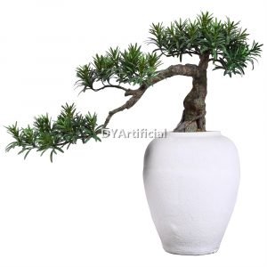 dypb 17 55cm height faux podocarpus macrophyllus pine bonsai