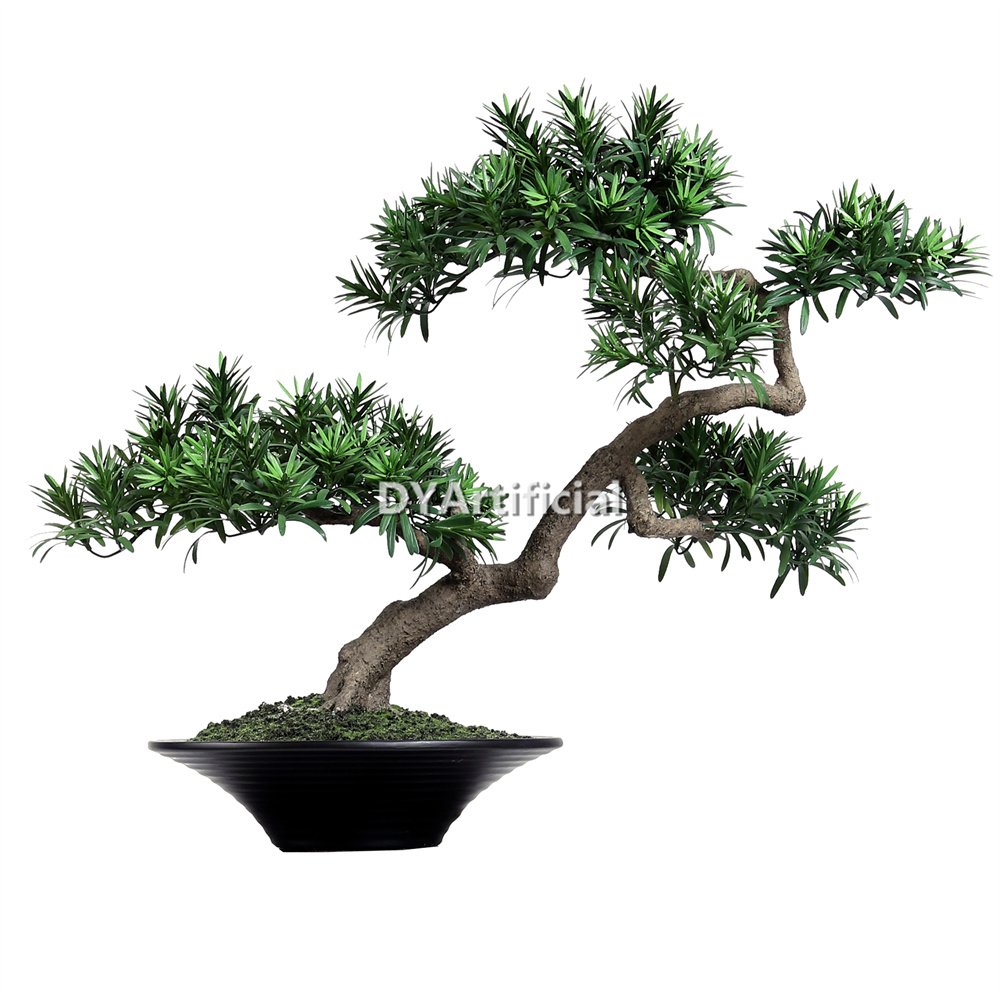 dypb 23 80cm height faux podocarpus macrophyllus pine bonsai